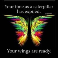 your time as a caterpillar is over