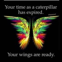 your time as a caterpillar is over