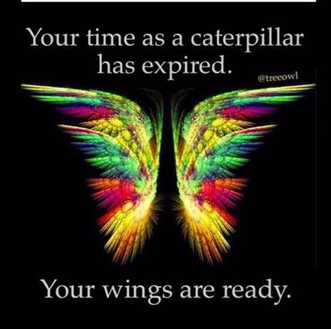 your time as a caterpillar is over